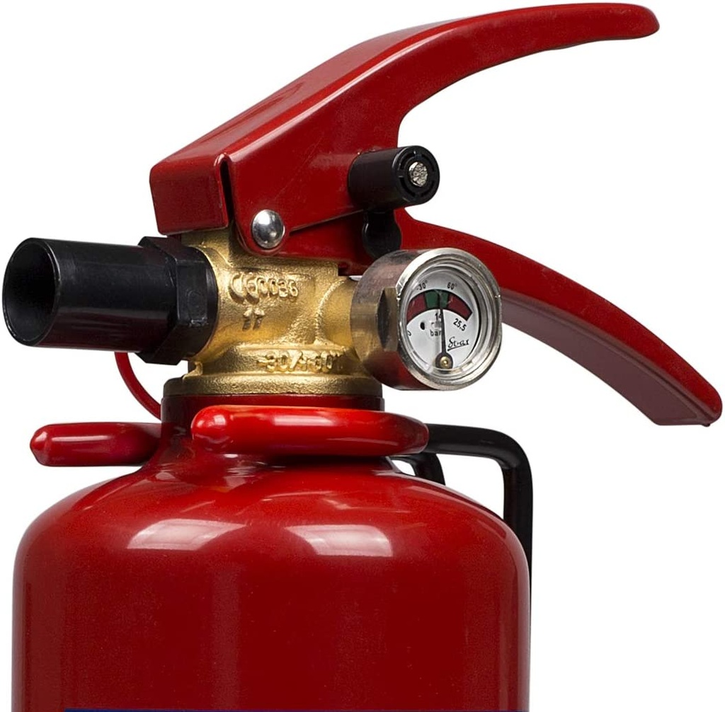 Smartwares Extintor de Polvo Seco, 2 KG - ABC